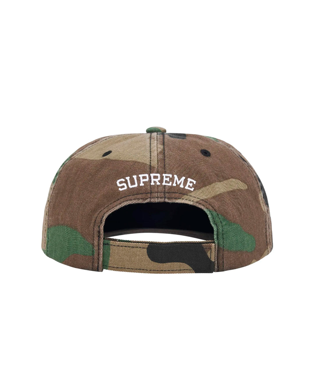 SUPREME EMBROIDERED MONEY LOGO 6 PANEL HAT WOODLAND
