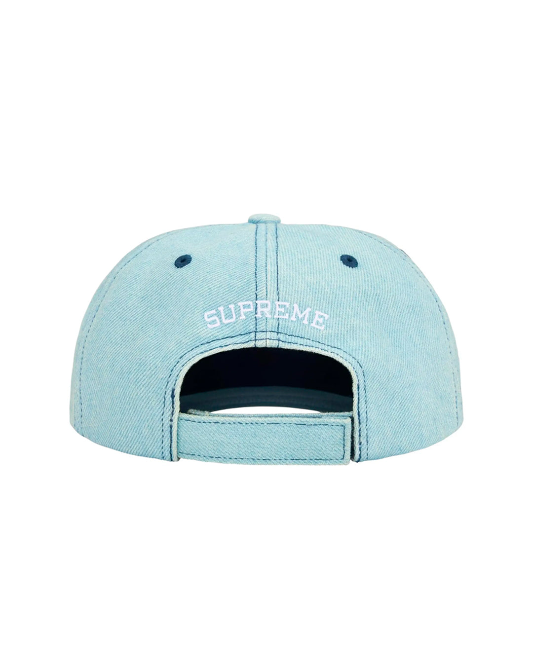 SUPREME EMBROIDERED MONEY LOGO 6 PANEL HAT LIGHT BLUE