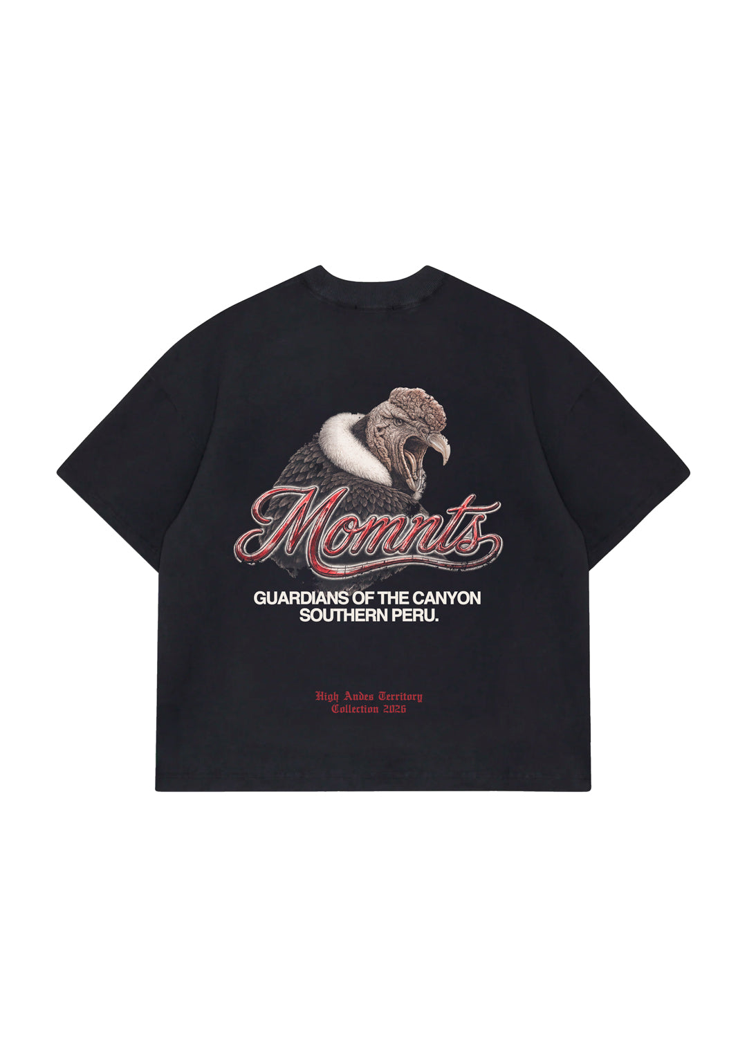 MOMNTS THE HANAN PACHA GUARDIAN TSHIRT